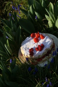 Mon-gâteau-de-printemps-2