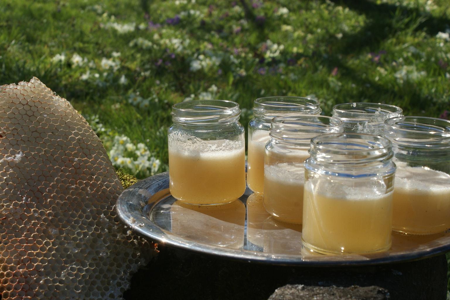 Lot de 5 pots de miel au choix de 125g - La Grange aux Abeilles