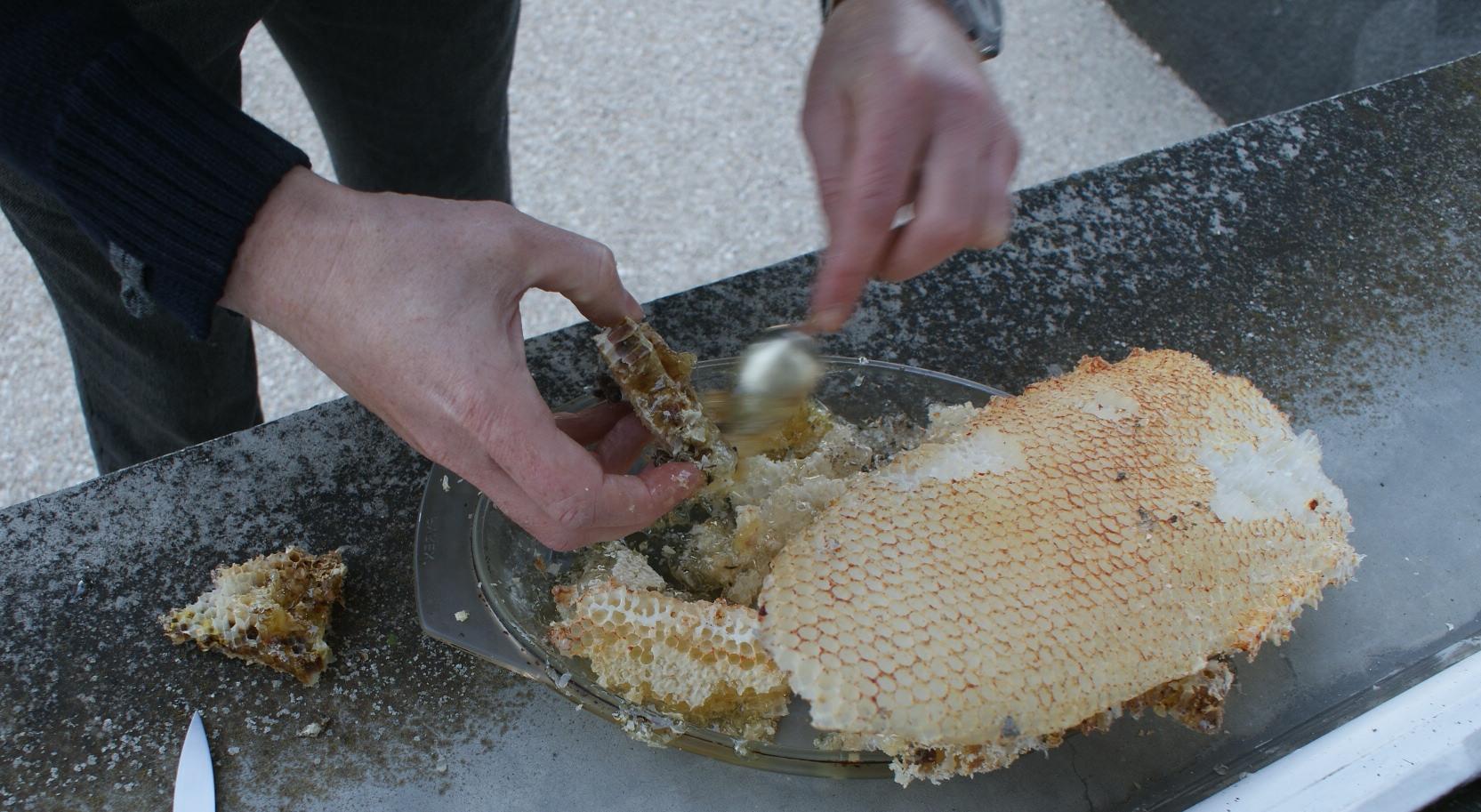 Lot de 5 pots de miel au choix de 125g - La Grange aux Abeilles